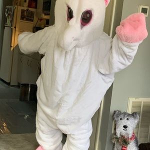 Meet your Posher, James